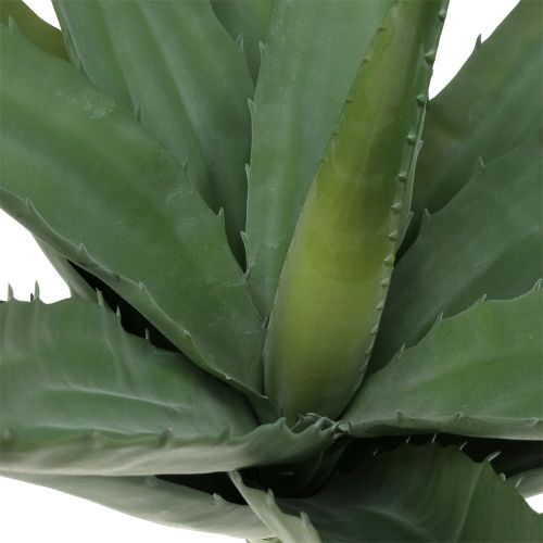 Floristik24 Aloe gren kunstgrønn 47cm