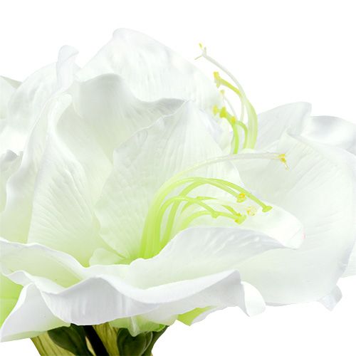 gjenstander Amaryllis blomst hvit L 73cm 2stk