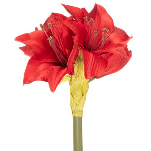Kunstig rød amaryllisblomst med stilk, blomsterdekorasjon til jul, 50 cm | Floristik24.no