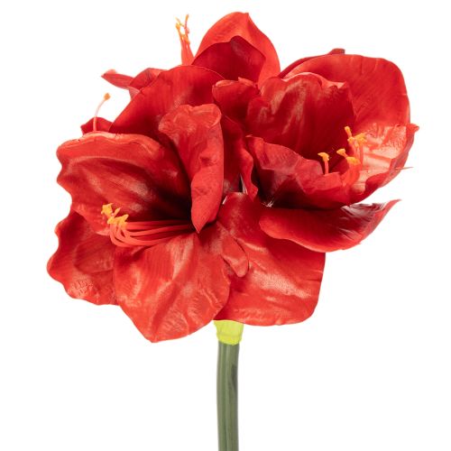 Kunstig amaryllisblomst, rød, lang stilk, til vase og arrangement, 77 cm kjøpe | Floristik24.no