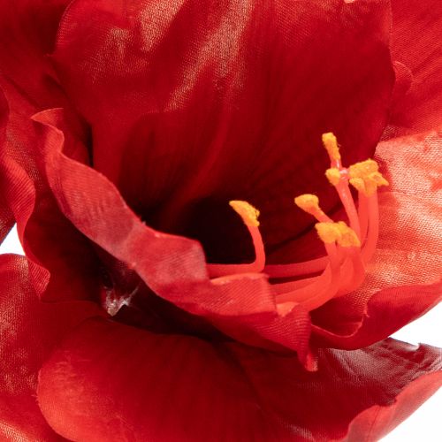 Kunstig amaryllisblomst, rød, lang stilk, til vase og arrangement, 77 cm | Floristik24.no