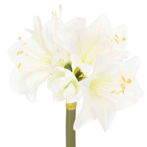 Kunstig amaryllisblomst, hvit, med stilk, advent og jul, 50 cm kjøpe | Floristik24.no