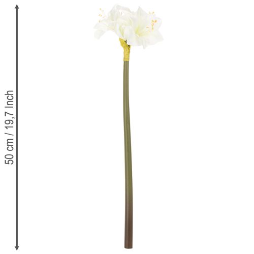 Kunstig amaryllisblomst, hvit, med stilk, advent og jul, 50 cm | Floristik24.no