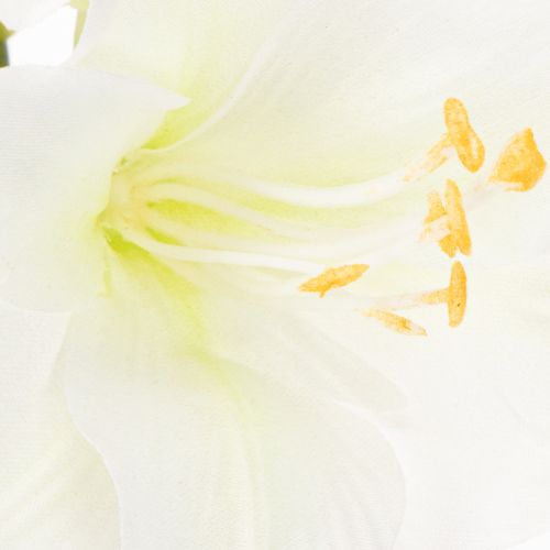 Kunstig amaryllisblomst, hvit, med stilk, advent og jul, 50 cm | Floristik24.no