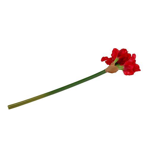 Floristik24 Amaryllis mørk rød 72,5cm