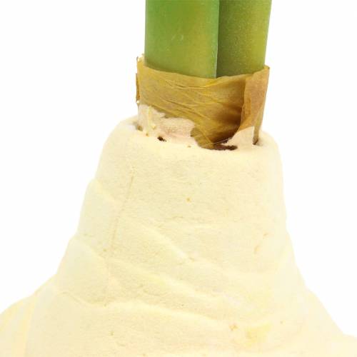 Floristik24 Amaryllisknoll med knopper Kunstig hvit H30cm