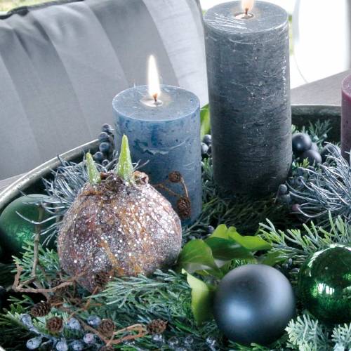 Floristik24 Amaryllis-pære med glitter kunstig brun H19cm