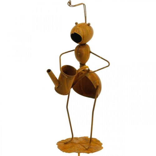 Floristik24 Dekorativ pluggmyr, sengedekorasjon, maur med vannkanne, blomsterplugg patina