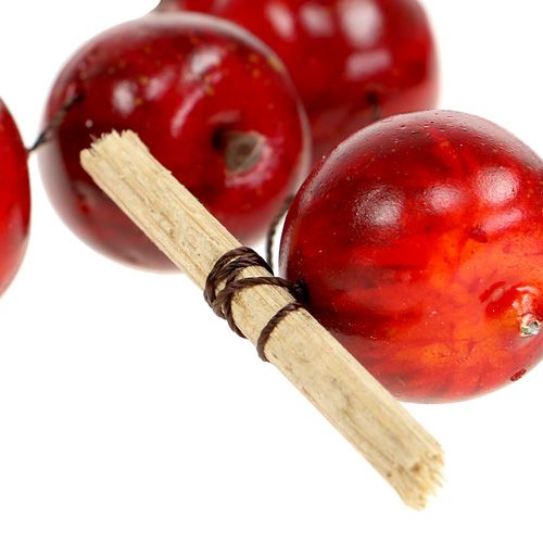 Floristik24 Eplekrans rød L 110cm