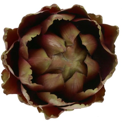 Floristik24 Artisjokkgrønn, fiolett Ø12cm H13cm