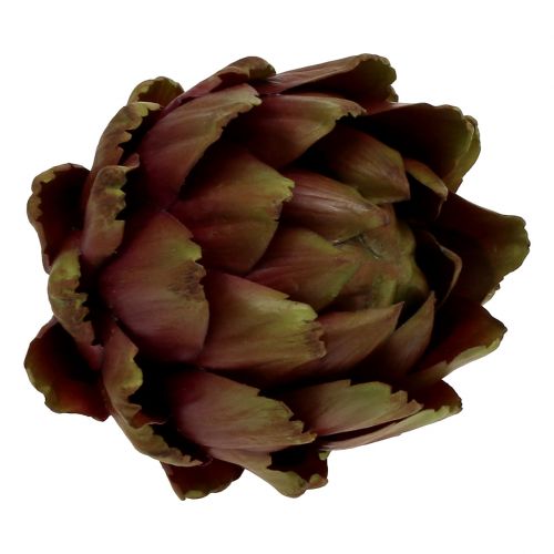 Floristik24 Artisjokkgrønn, fiolett Ø12cm H13cm