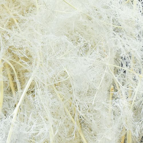 gjenstander Asparges Tørket gress Prydaspargeskrem 90 cm 5 stk