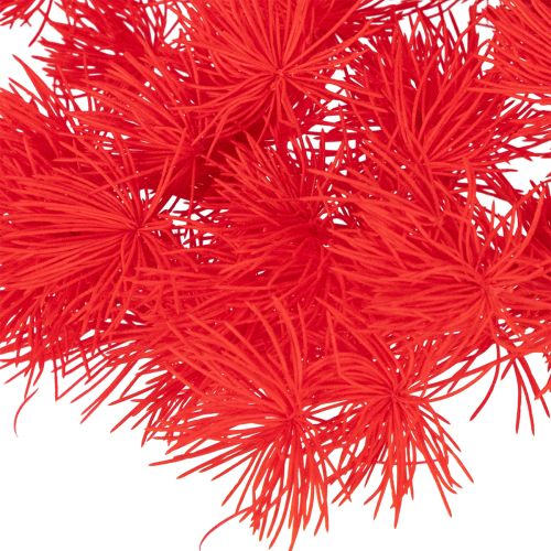 Tørket aspargesbunke til blomsteroppsatser 65 cm 80 g | Floristik24.no
