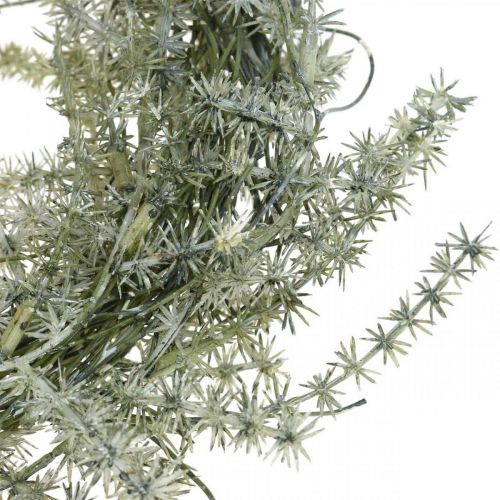 gjenstander Kunstig aspargeskrans hvit, grå Dekorativ aspargeskrans Ø20cm