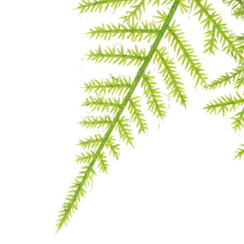 gjenstander Kunstig asparges som hengeplante for vedlikeholdsfri hjemmedekorasjon, 75 cm