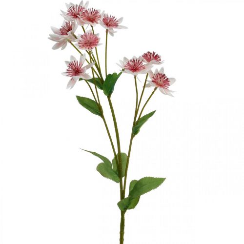 gjenstander Stor Masterwort Kunstig Astrania Silkeblomst Hvit Rosa L61cm