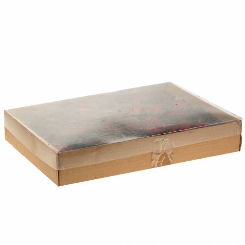 Floristik24 Dekorative fruktskiver Ata frukt rød 1kg