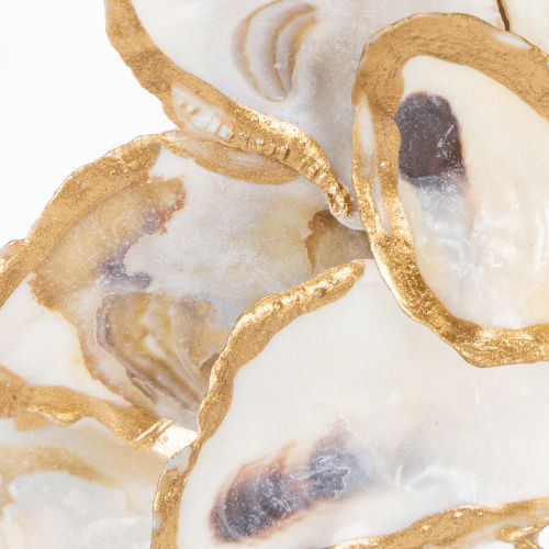 gjenstander Østerskransskalldekorasjon, maritimt hjemmetilbehør, naturlig veggdekorasjon, 12 cm