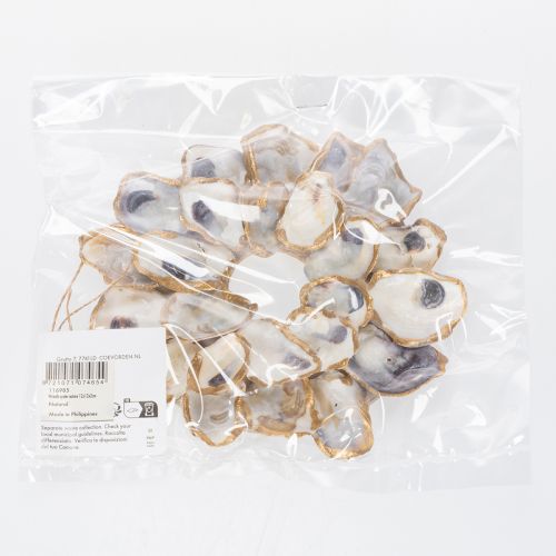 gjenstander Østerskransskalldekorasjon, maritimt hjemmetilbehør, naturlig veggdekorasjon, 12 cm