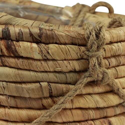 Floristik24 Kurv for oppheng av vannhyasint naturlig 25/31 cm sett med 2