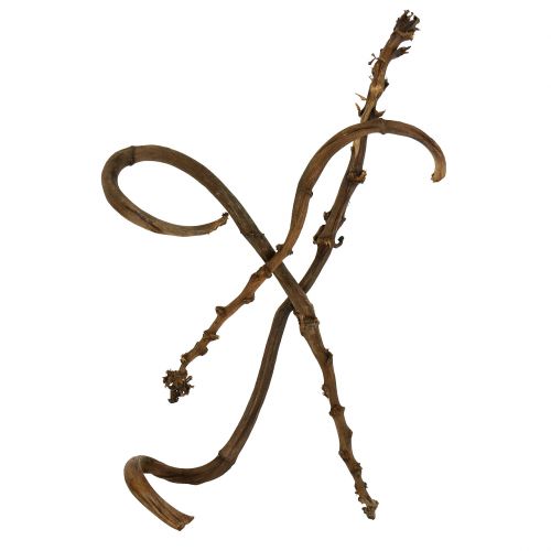 Floristik24 Bananpinne Natur stor 10 stk