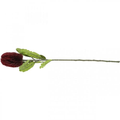 gjenstander Kunstig blomst Banksia Red Burgundy Artificial Exotics 64cm