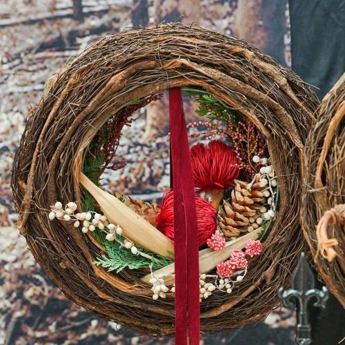 Floristik24 Banksia Baxteri Banksie eksotiske tørkede blomster røde pakke med 10 stk