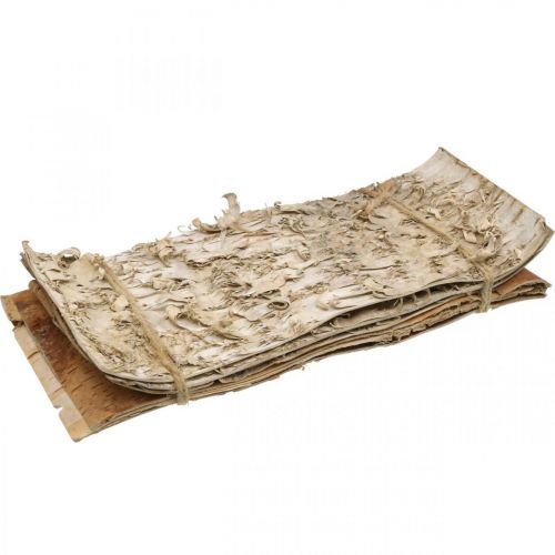 Floristik24 Trebark dekorative barklister naturlig bjørkebark 30×12cm 6 stk