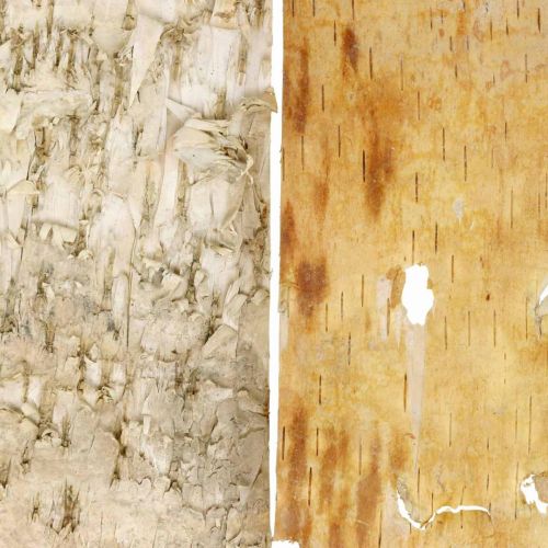 Floristik24 Trebark dekorative barklister naturlig bjørkebark 30×12cm 6 stk