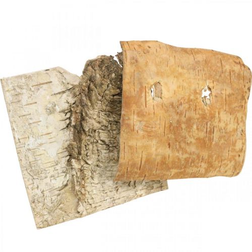 gjenstander Trebark deco bark firkantet bjørkebark natur 10×10cm 6stk