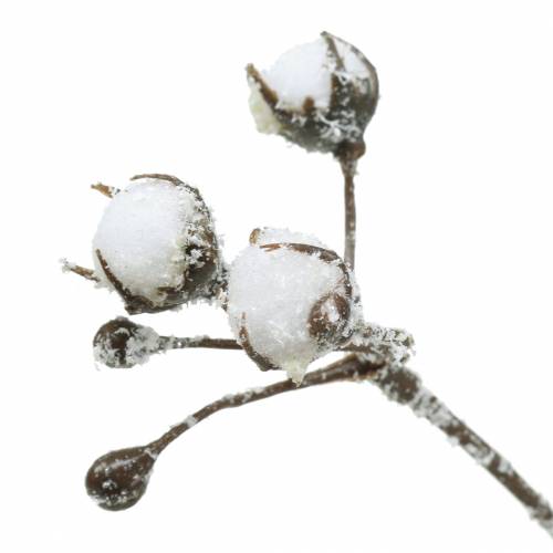 Floristik24 Iced bomullsgren 47cm