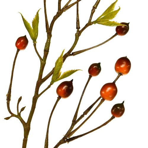 Floristik24 Bærgren rød kunstig kunstgren dekogren 82cm