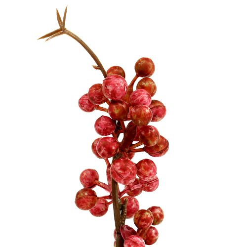 Floristik24 Bærgren rosa L 28cm 12stk