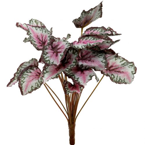 gjenstander Begonia buskegrønn, fiolett 34cm