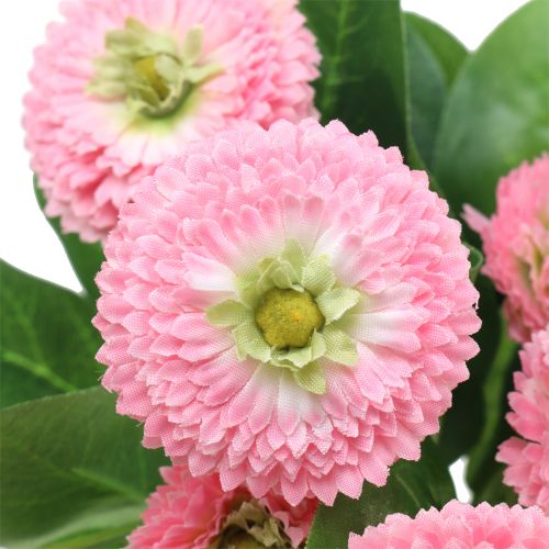 Floristik24 Bellisbund rosa 24cm 2stk