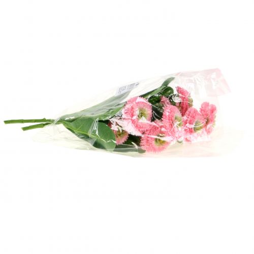 Floristik24 Bellisbund rosa 24cm 2stk
