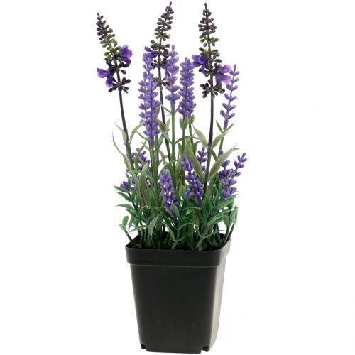 Floristik24 Kunstig lavendel i en gryte H25cm