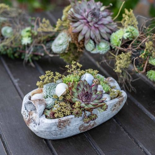 Floristik24 Betongskål oval hvit gråbrun med håndtak antikk L25cm