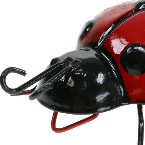 Floristik24 Marihøne 10cm