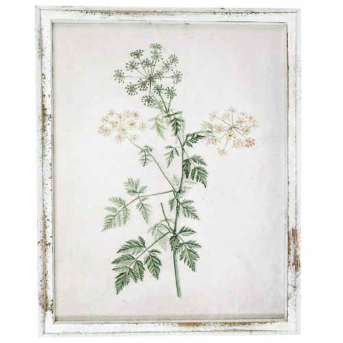 gjenstander Vintage veggdekorasjon, bilde med ramme tre tørket plante 40×50cm