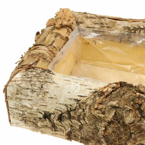 Floristik24 Birkeplanter 30cm x 20cm H8cm