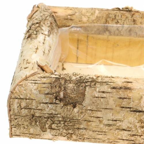 Floristik24 Plantekasse bjørk 40cm x 20cm H8,5cm