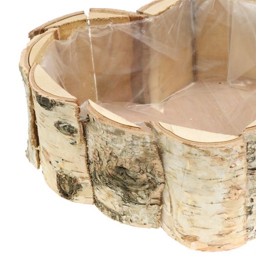 Floristik24 Planter bjørkehjerte 2stk