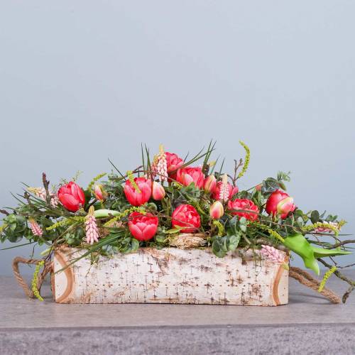 Floristik24 Plantekasse bjørk med tauhåndtak 38x16cm H9cm