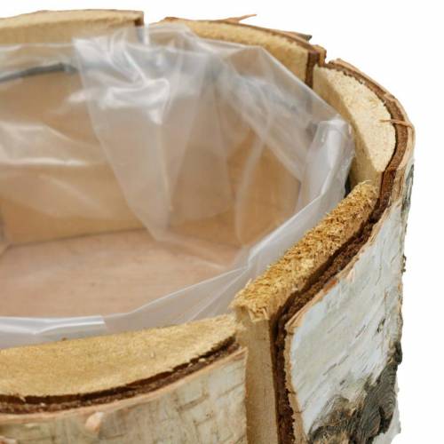 Floristik24 Plantepotte bjørk naturlig bjørkepotte rund trepottepotte Ø13cm