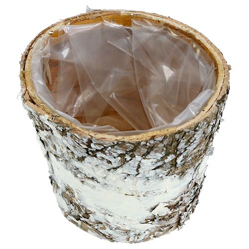 Floristik24 Bjørkepotte mini hvit plantepottepotte Ø7cm H7cm 10stk