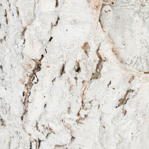 gjenstander Blomsterpotte med barkutseende, ideell for rustikk interiørdesign og plantedekorasjon, 12 cm, 4 deler