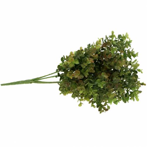 Floristik24 Boxwood dekorativ gren grønn 40cm