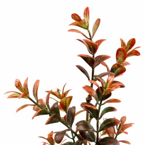 gjenstander Buxus dekorativ gren høstlig 50cm