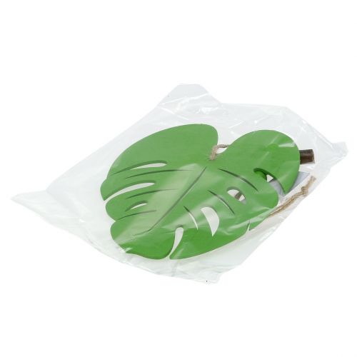 Floristik24 Blad 14,5cm for oppheng Grønn